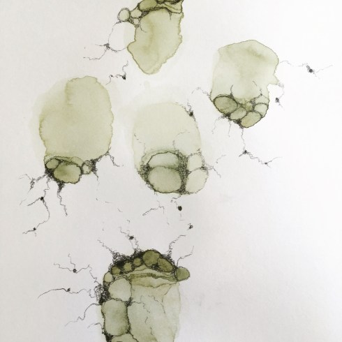 FAAD0447-AC21-43B5-9A9B-DB961E873E12