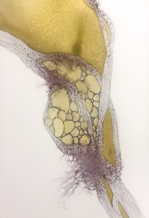 CEFCF4DC-FB67-4F1C-8E9C-DD3090B2870B